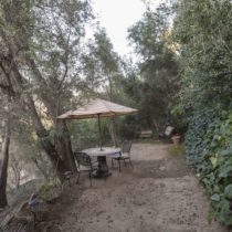 mid-century-natural-light-home-with-hillside-view-52